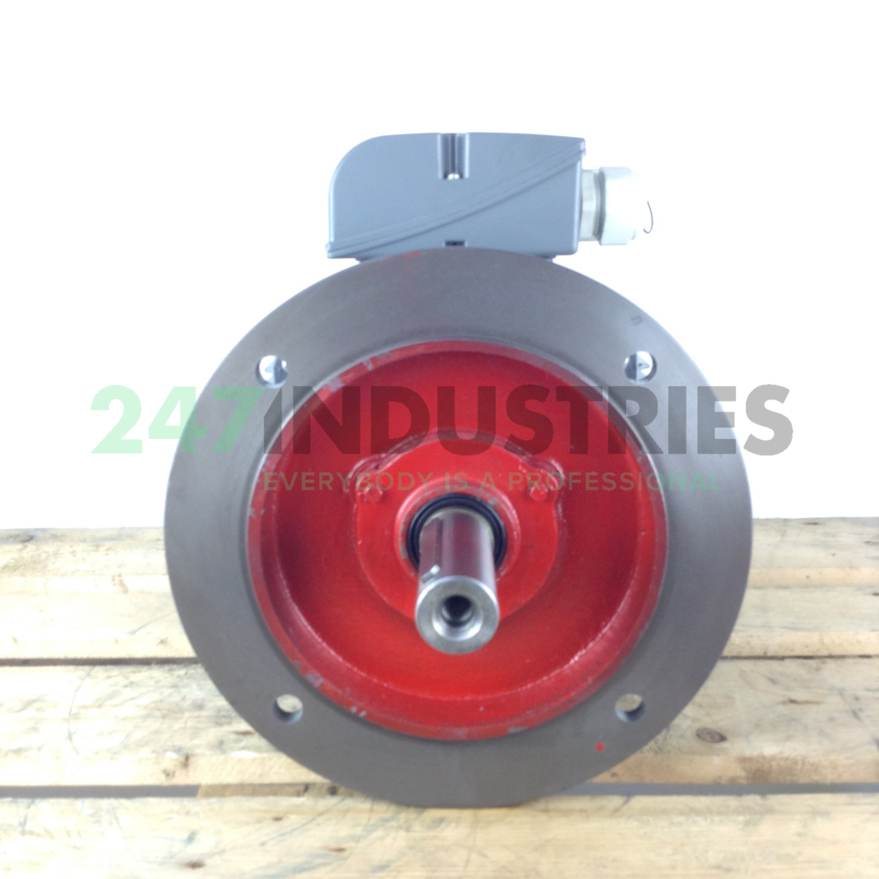 Y-IE2-160L4 Sovem Image 4