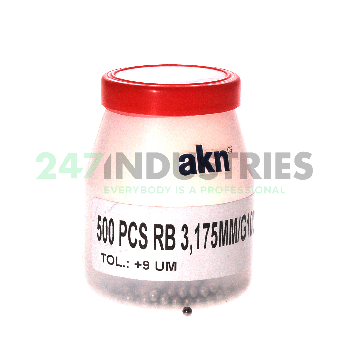 RB3,175MM/G100/SS420 AKN