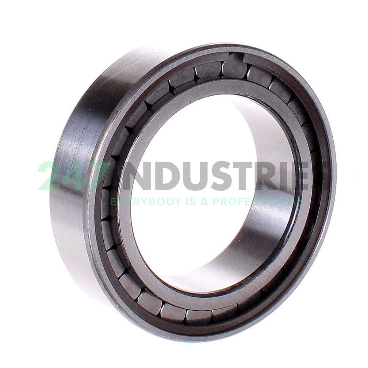 SL183015-A-XL-C3-2S INA