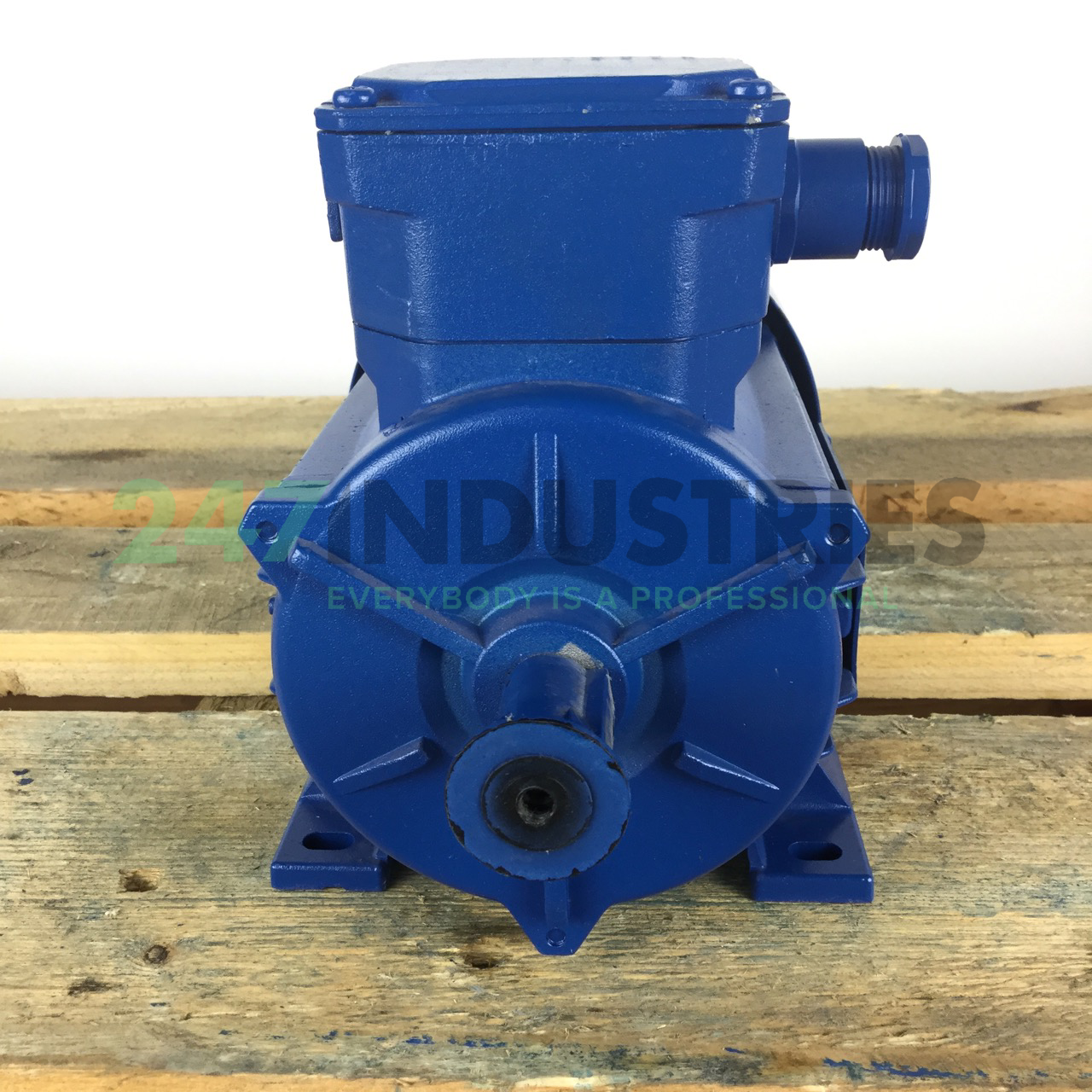 A4C0722A00017 Marelli Motori Image 4