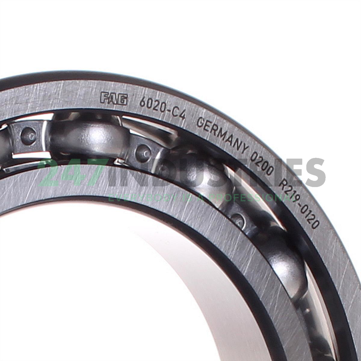 6020-C4 FAG Image 2