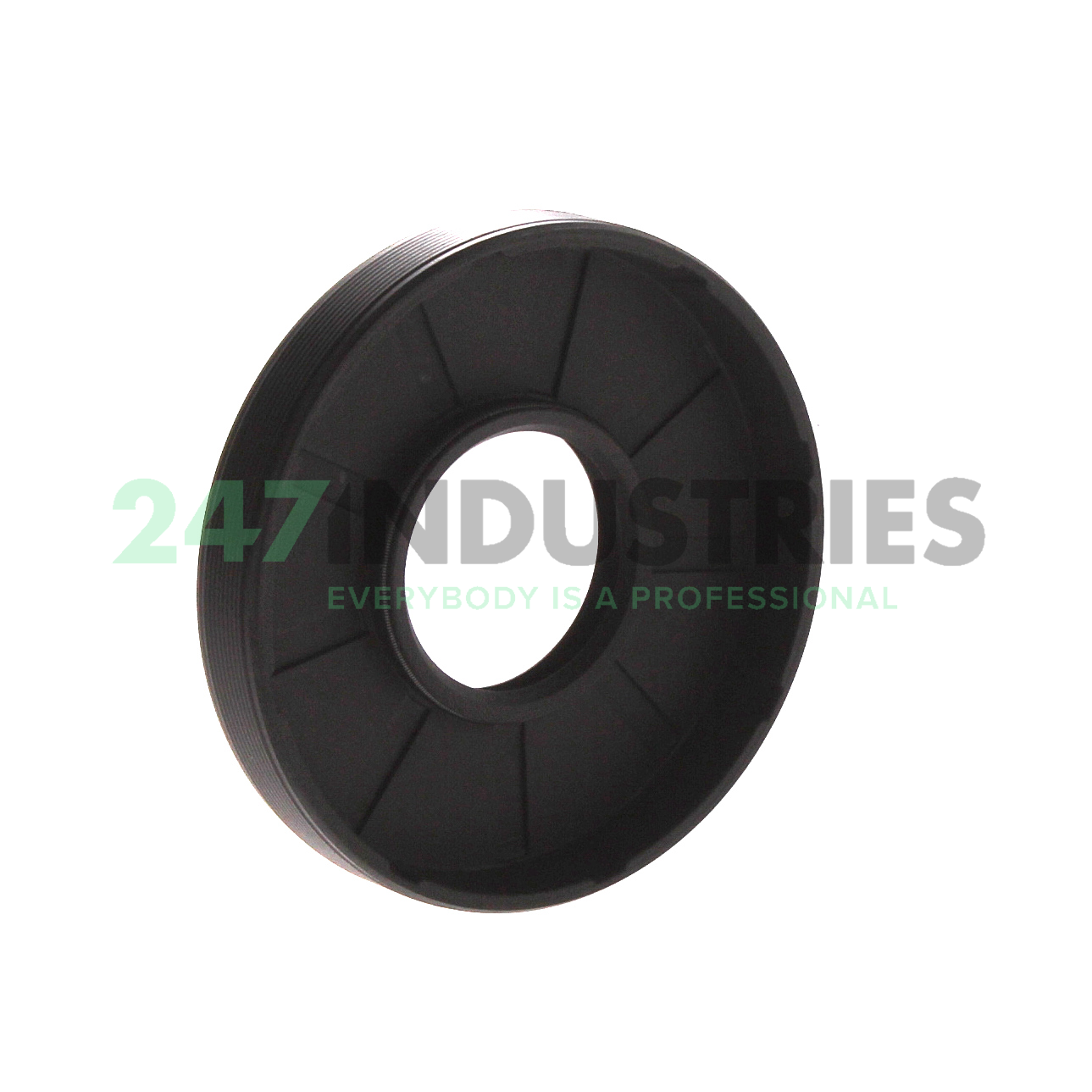 25X62X10HMSA10RG SKF Image 2