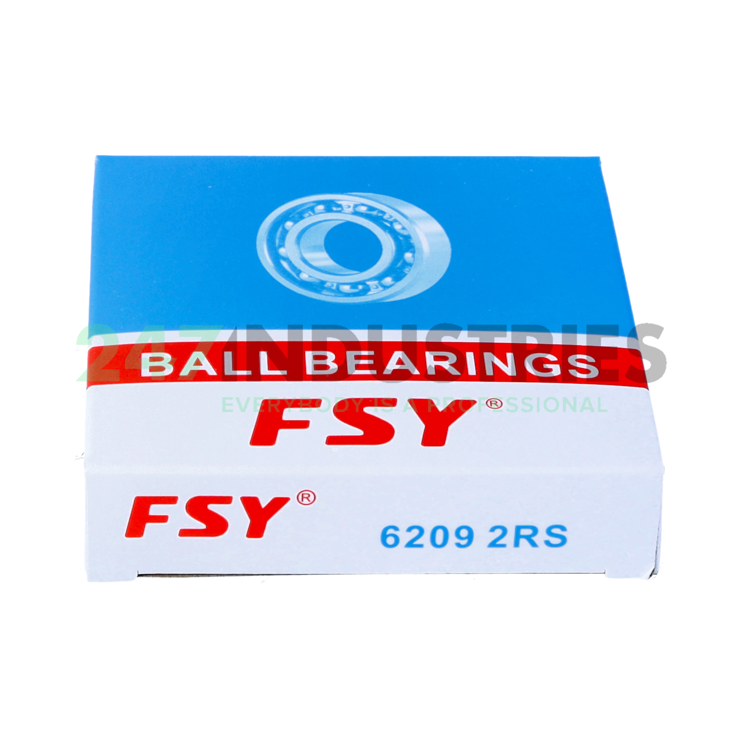 6209 2RS FSY Image 3