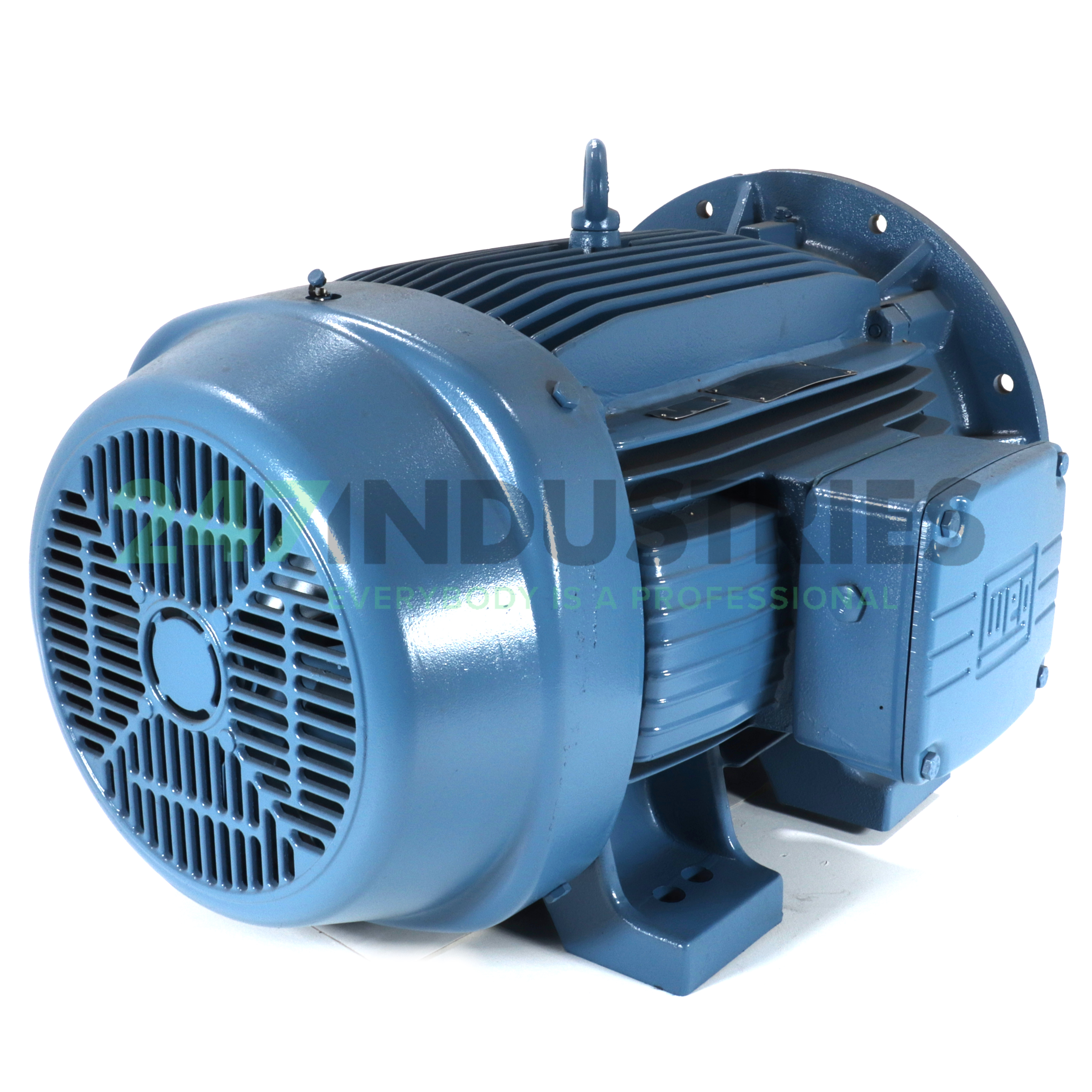 37K32CI1250S/M6B5 WEG Image 3