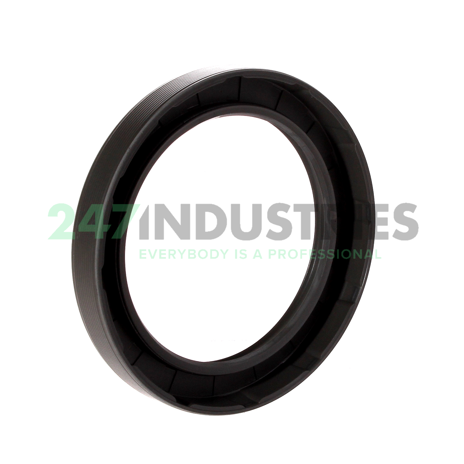 65X88X12HMSA10RG SKF Image 3