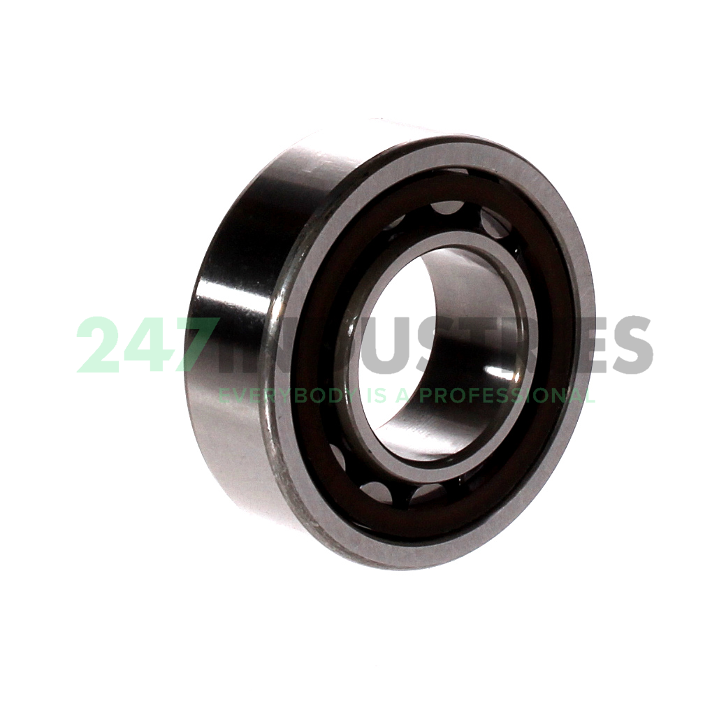 NU2206ET C3 NSK Image 2