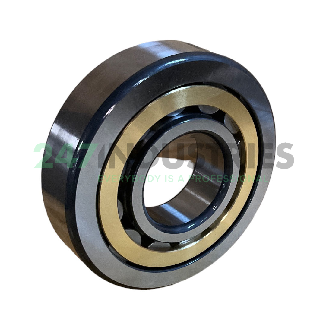 NU418-XL-M1-C4 FAG Image 2