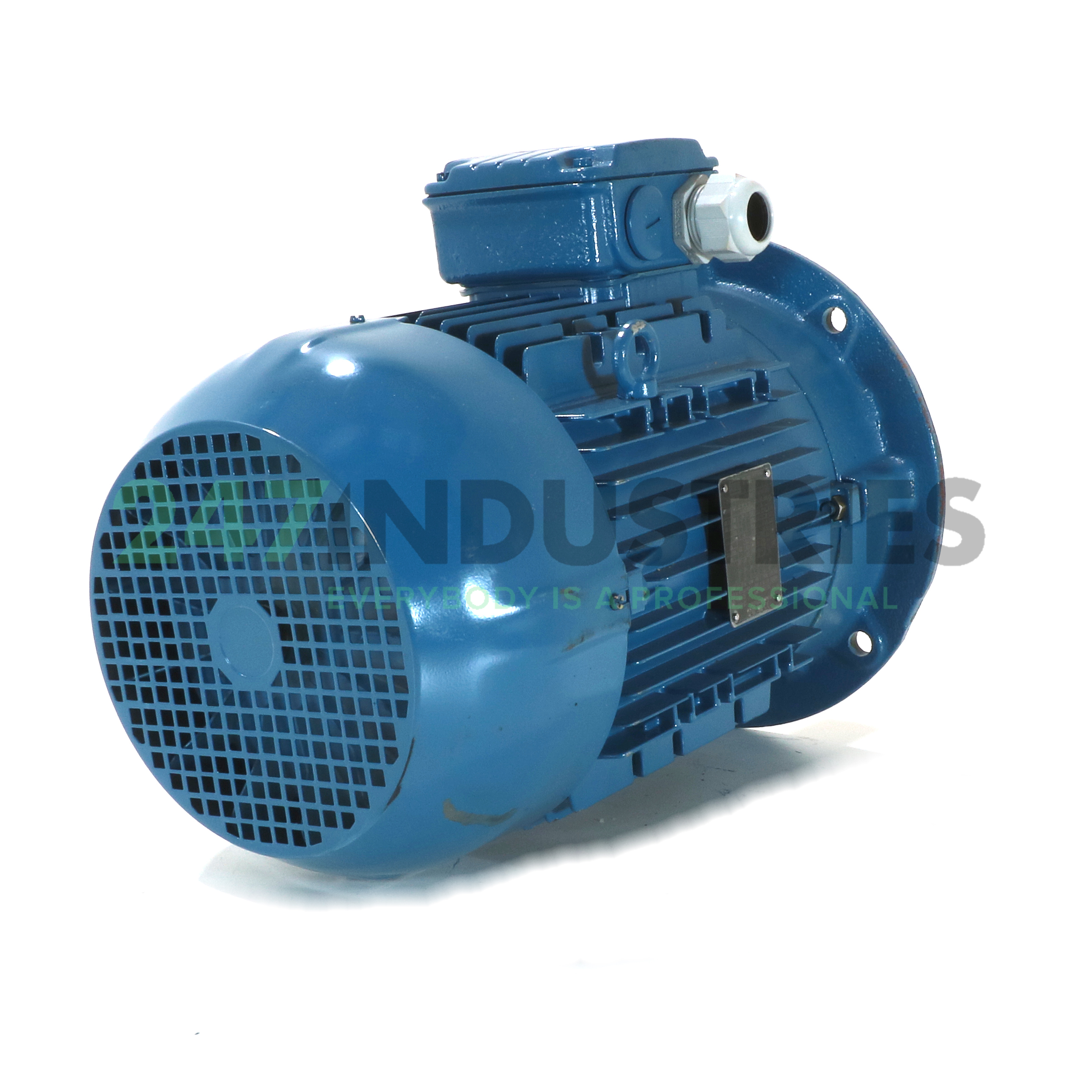 3K31AL2132S6B5 WEG Image 3