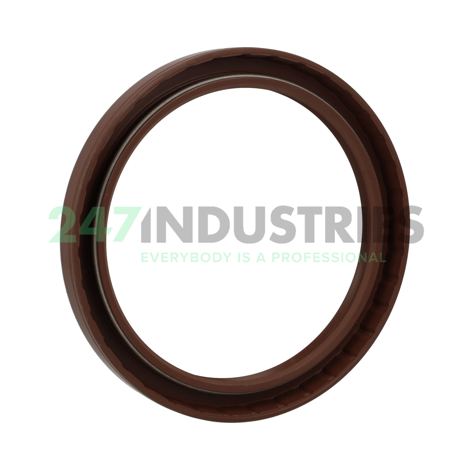 TC120X150X15VITON NAK Sealing Technologies Image 2