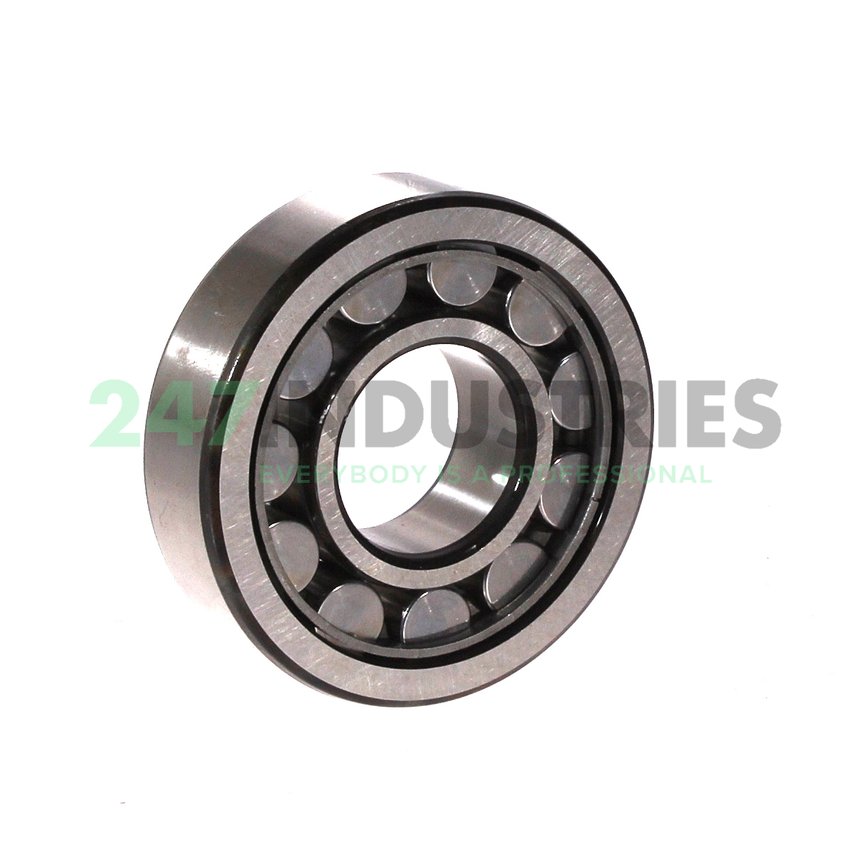 NU305ECJ SKF Image 2