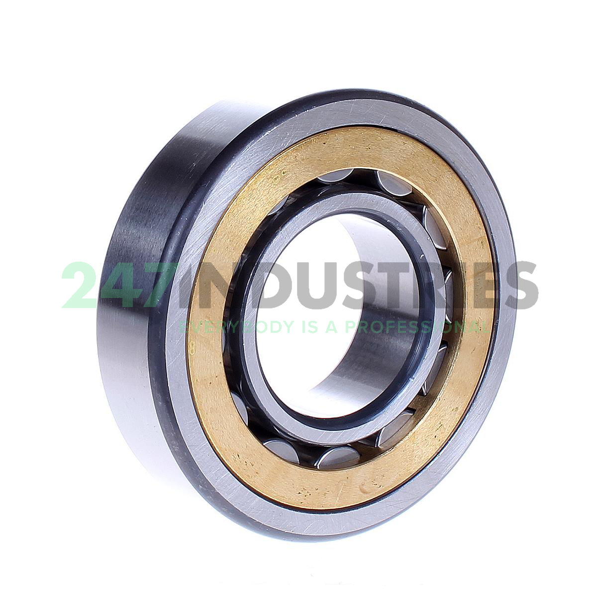 NU308-E-XL-M1A FAG Image 2