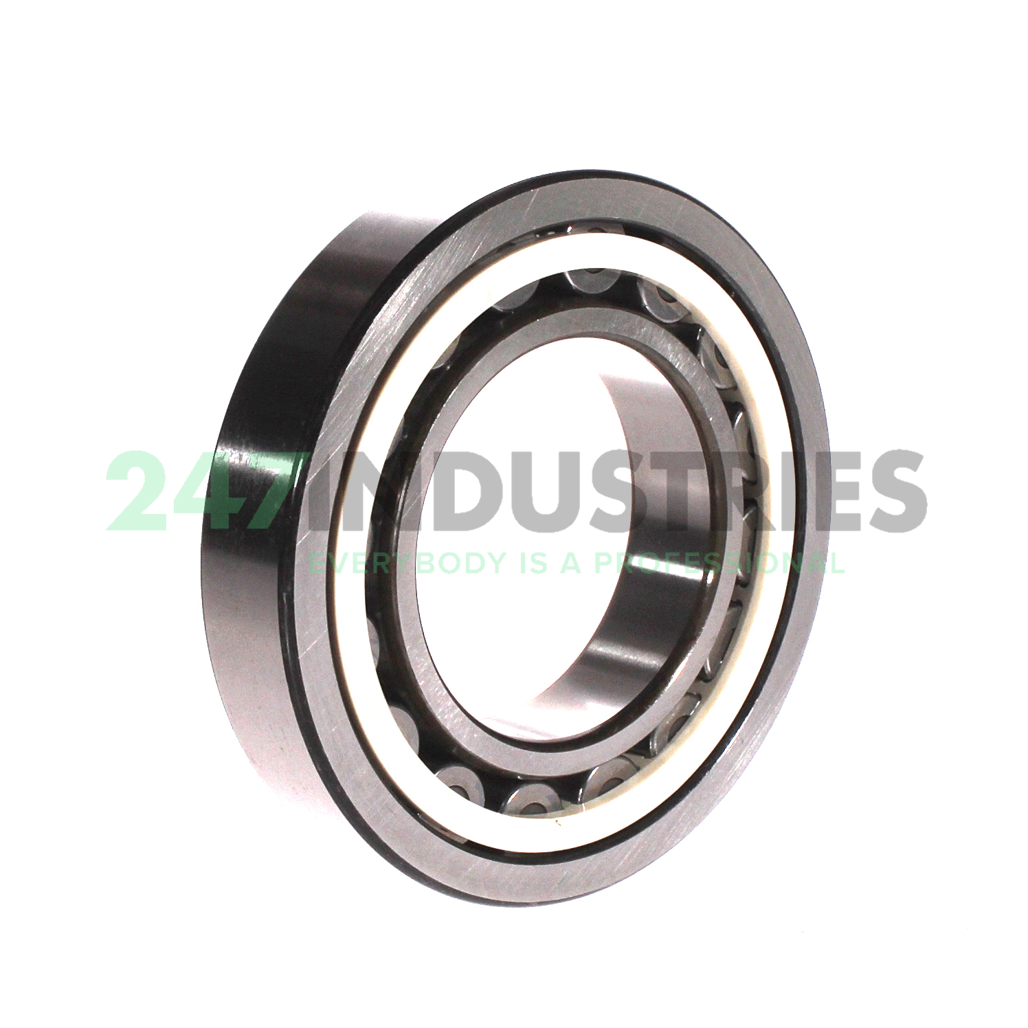 NU213ET7CG62 NSK Image 2