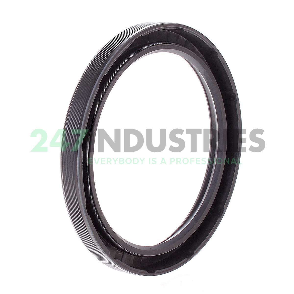 75X95X10HMS5RG SKF Image 2