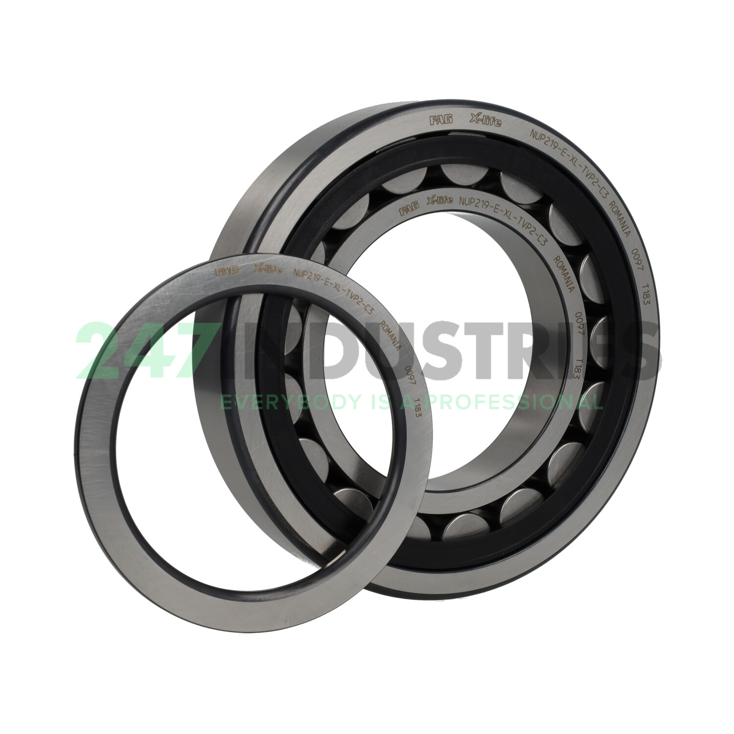 NUP219-E-XL-TVP2-C3 FAG Image 2