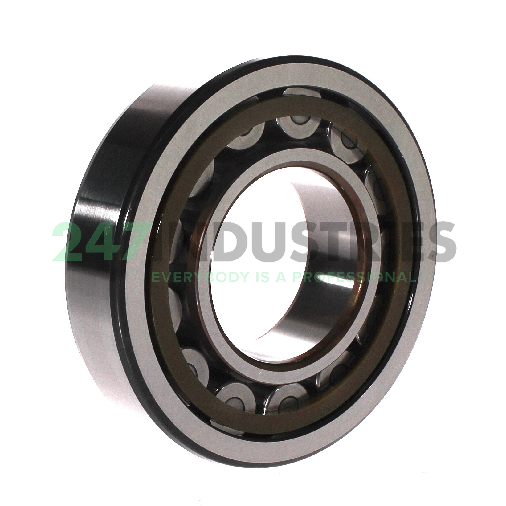 NU313ECP/C4 SKF Image 2