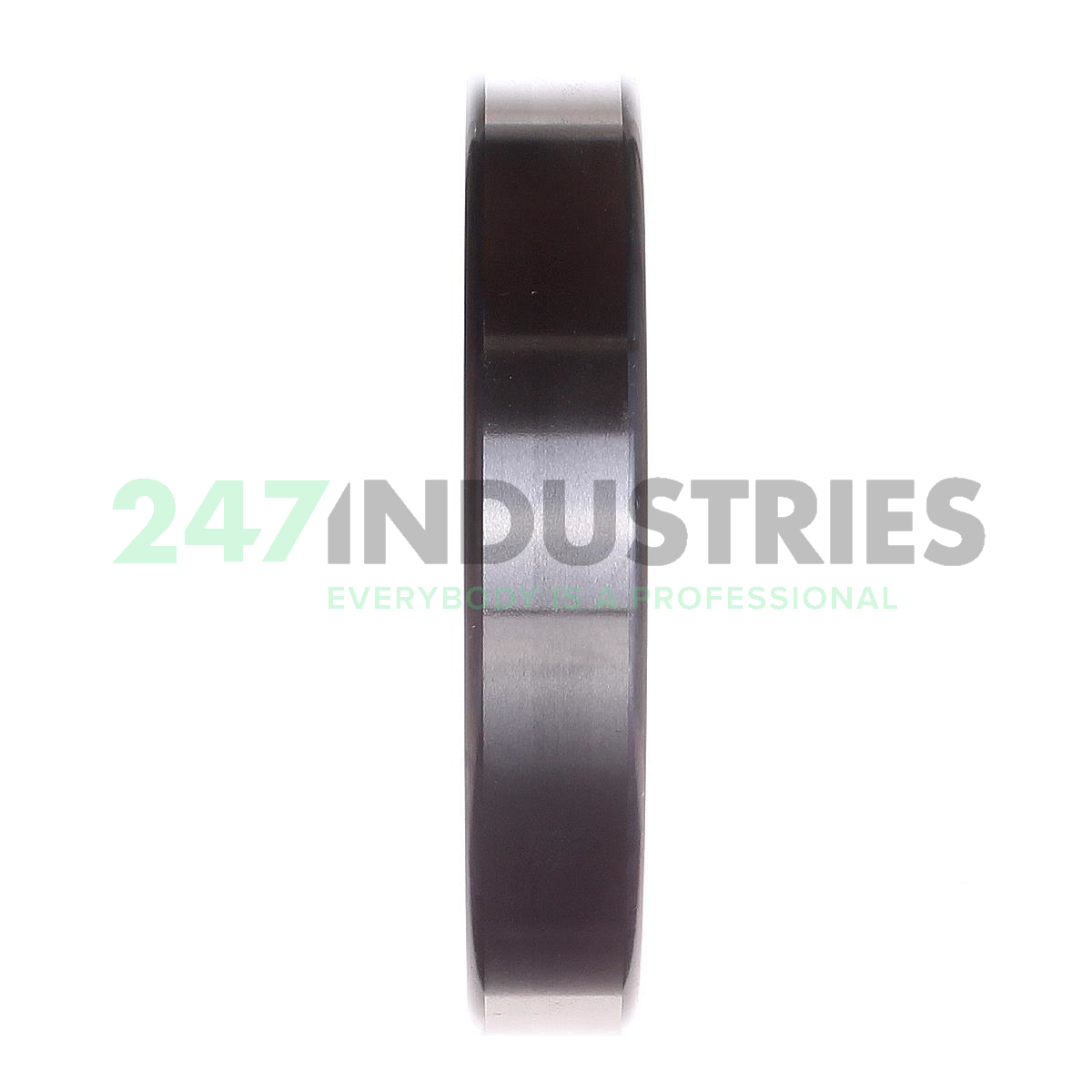 6018-M-C3 FAG Image 3