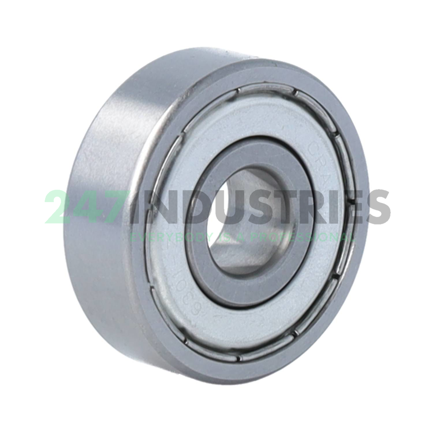 6301ZZ Craft Image 2