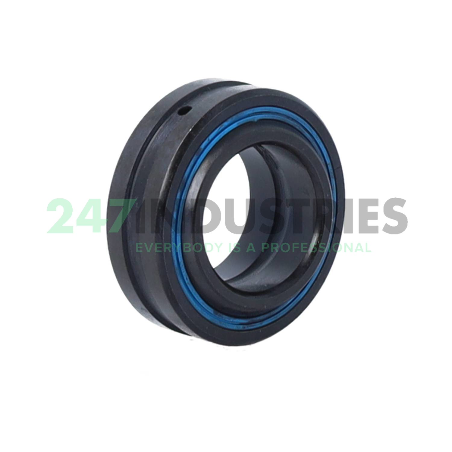 GE17-DO-2RS-E INA Image 2