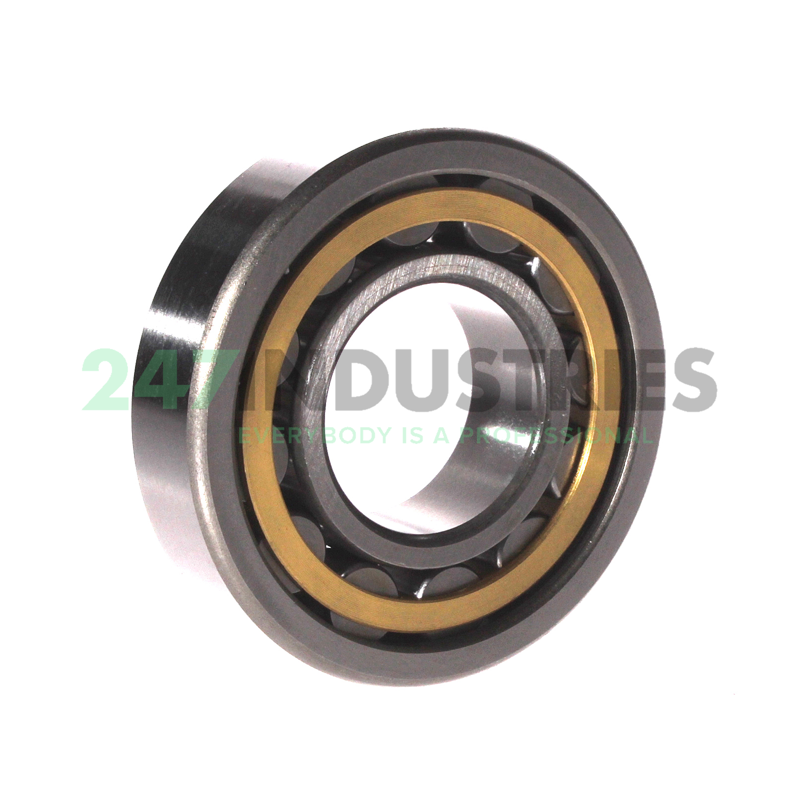 NU308EM C3 FBJ Image 2