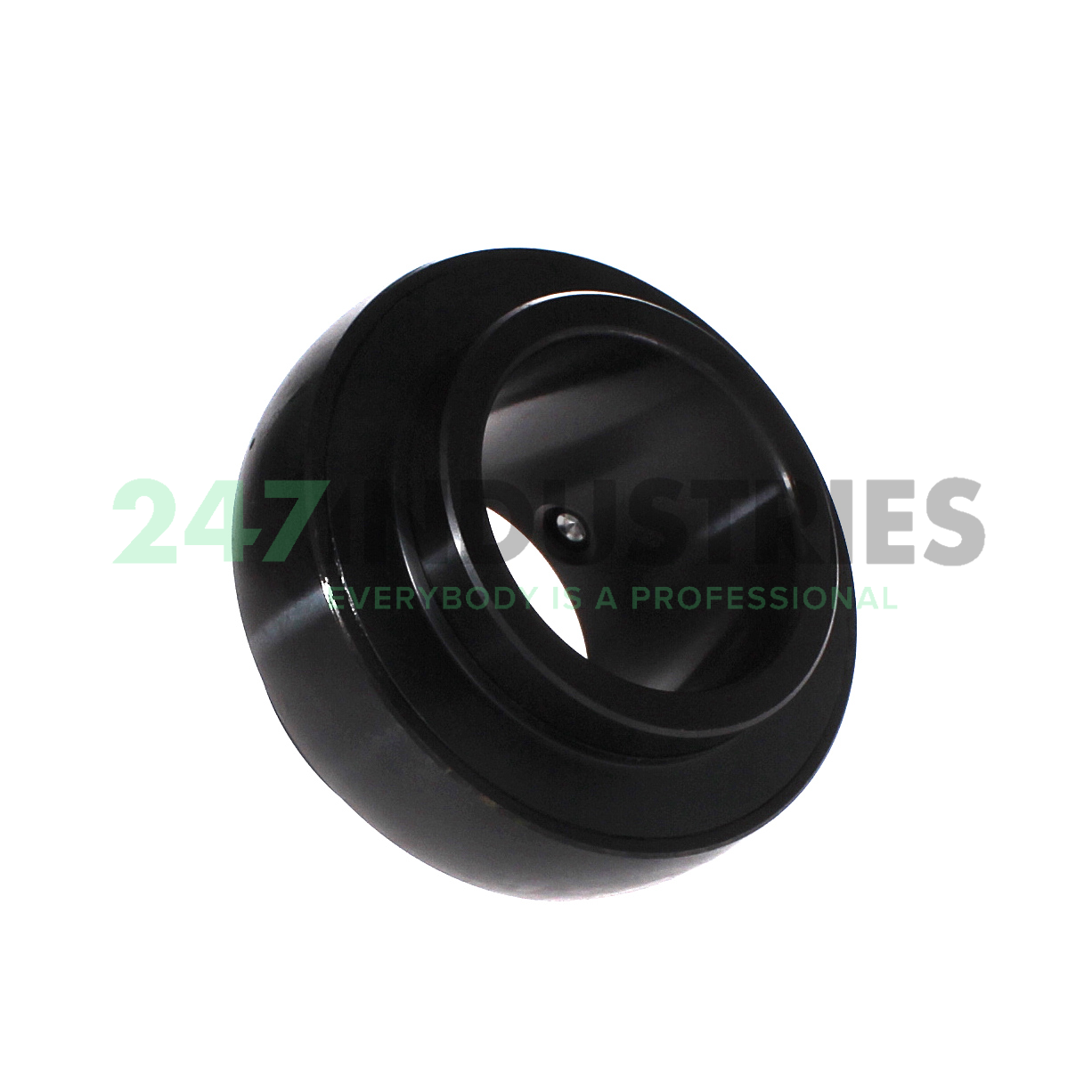 UC215-45 FAG Image 2