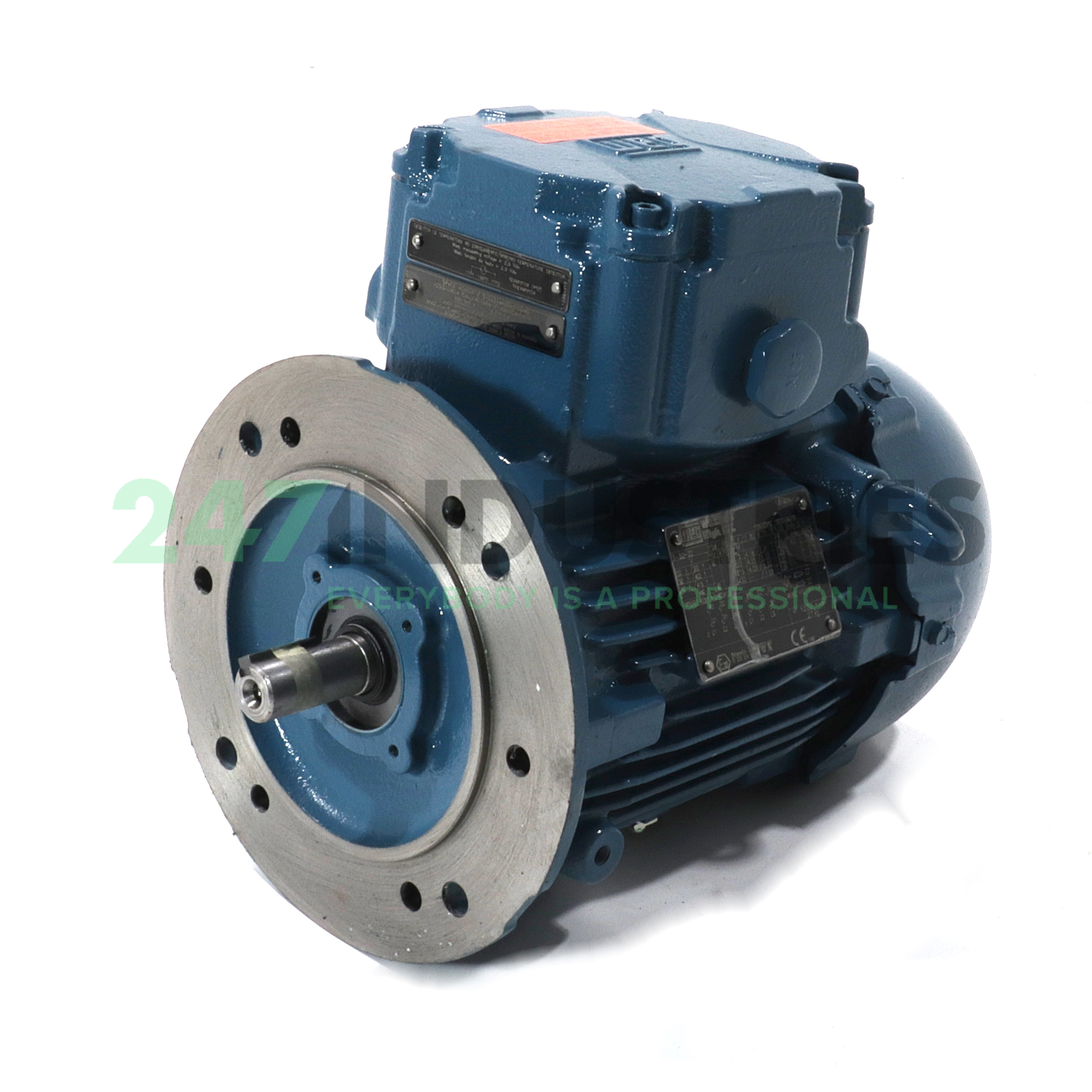 1.1K31CI2802B52G WEG Image 1