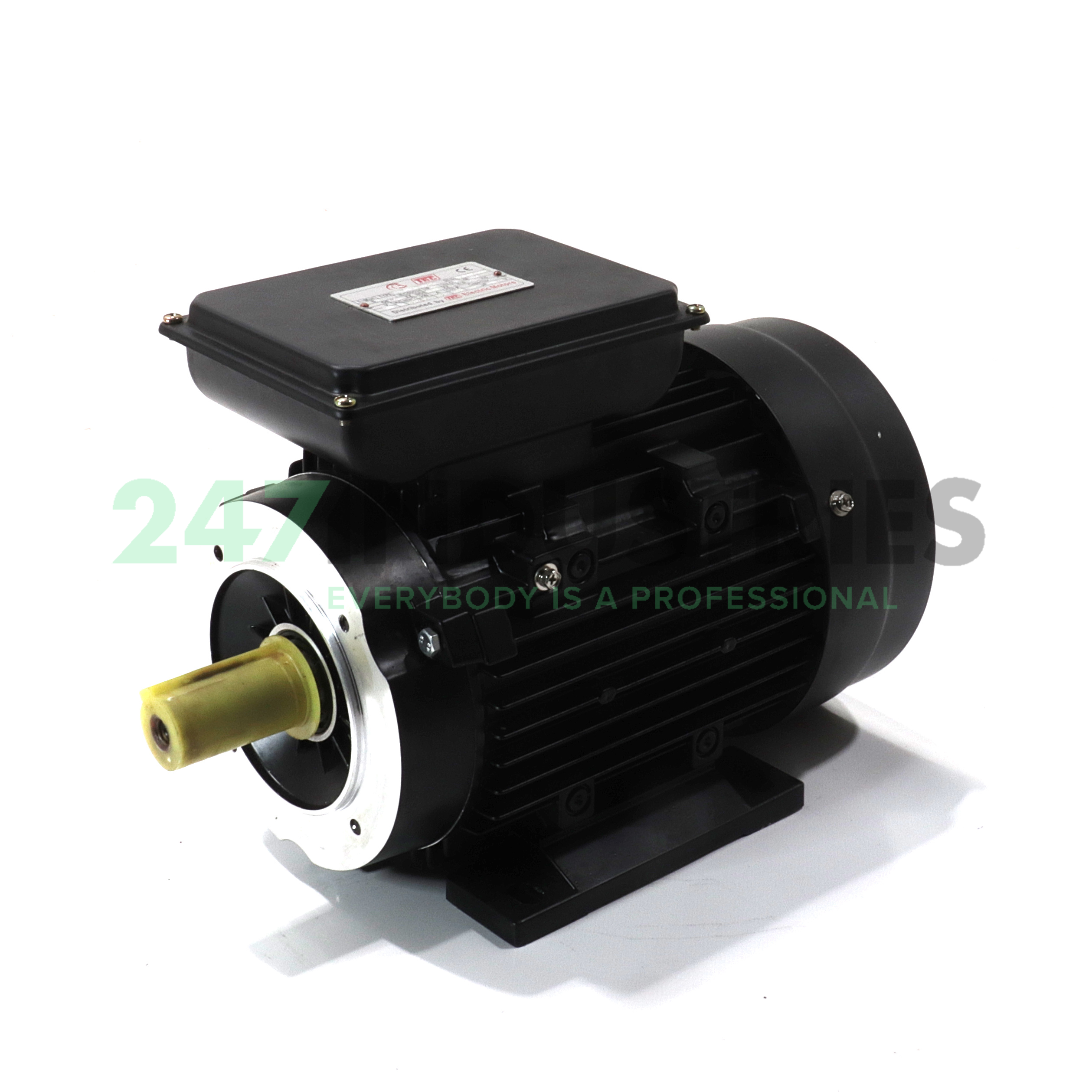 2.241TPCB34-100-DEL Tec Electric Motors Image 1
