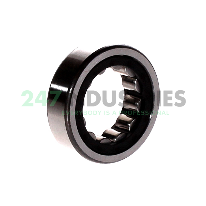 RNU204-E-XL-TVP2 FAG Image 2