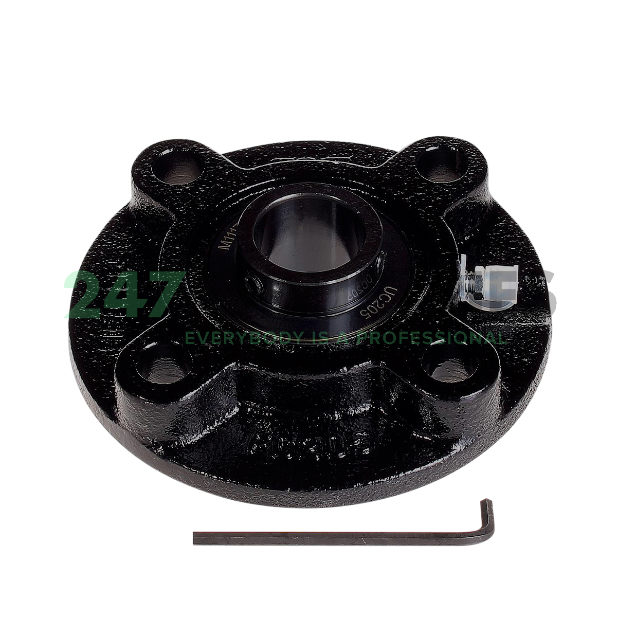 UCFC205-J7 FAG Image 2