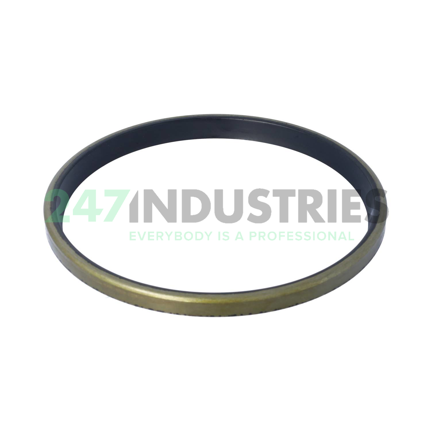 AS200X220X12 Freudenberg