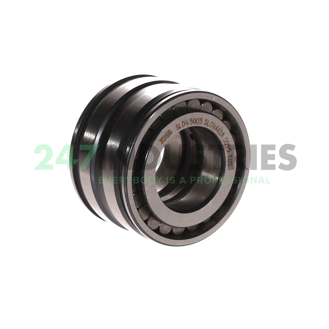 SL045005 INA