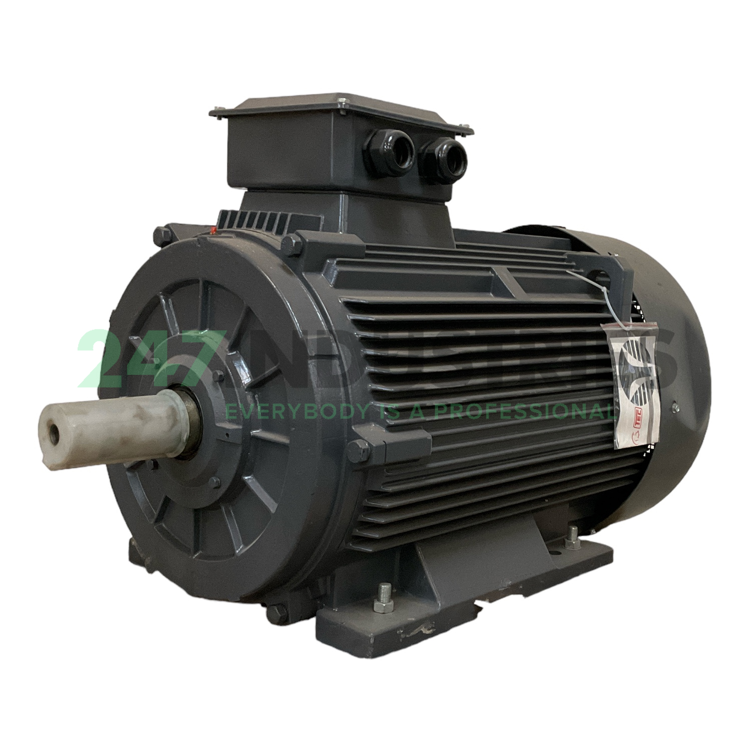T2C315-L2-4-B3 TechTop Motor
