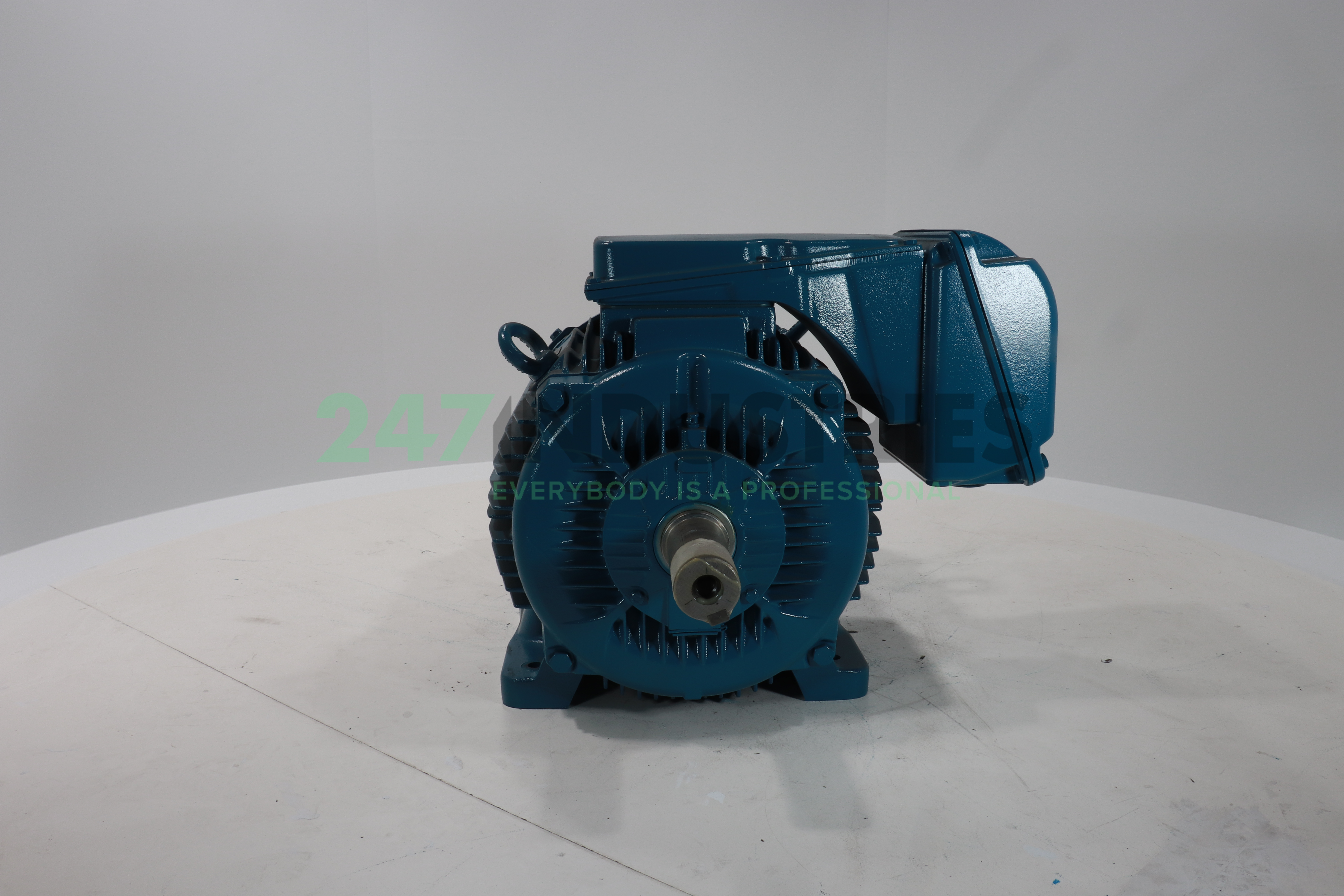 45K32CI1225S/M4B3EX2G WEG Image 2