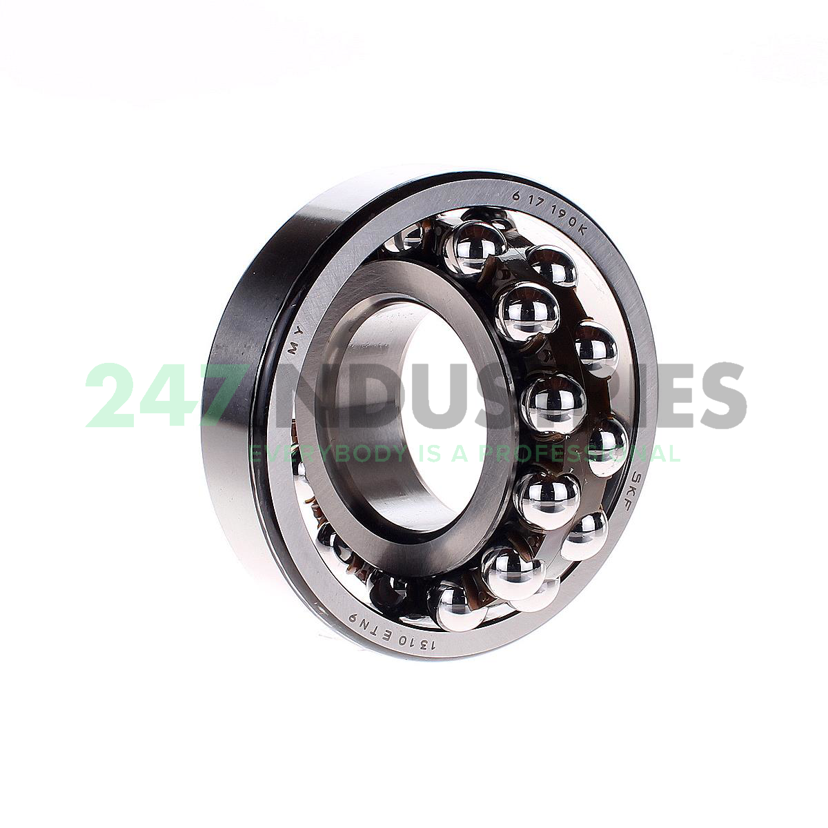 1310ETN9 SKF Image 2