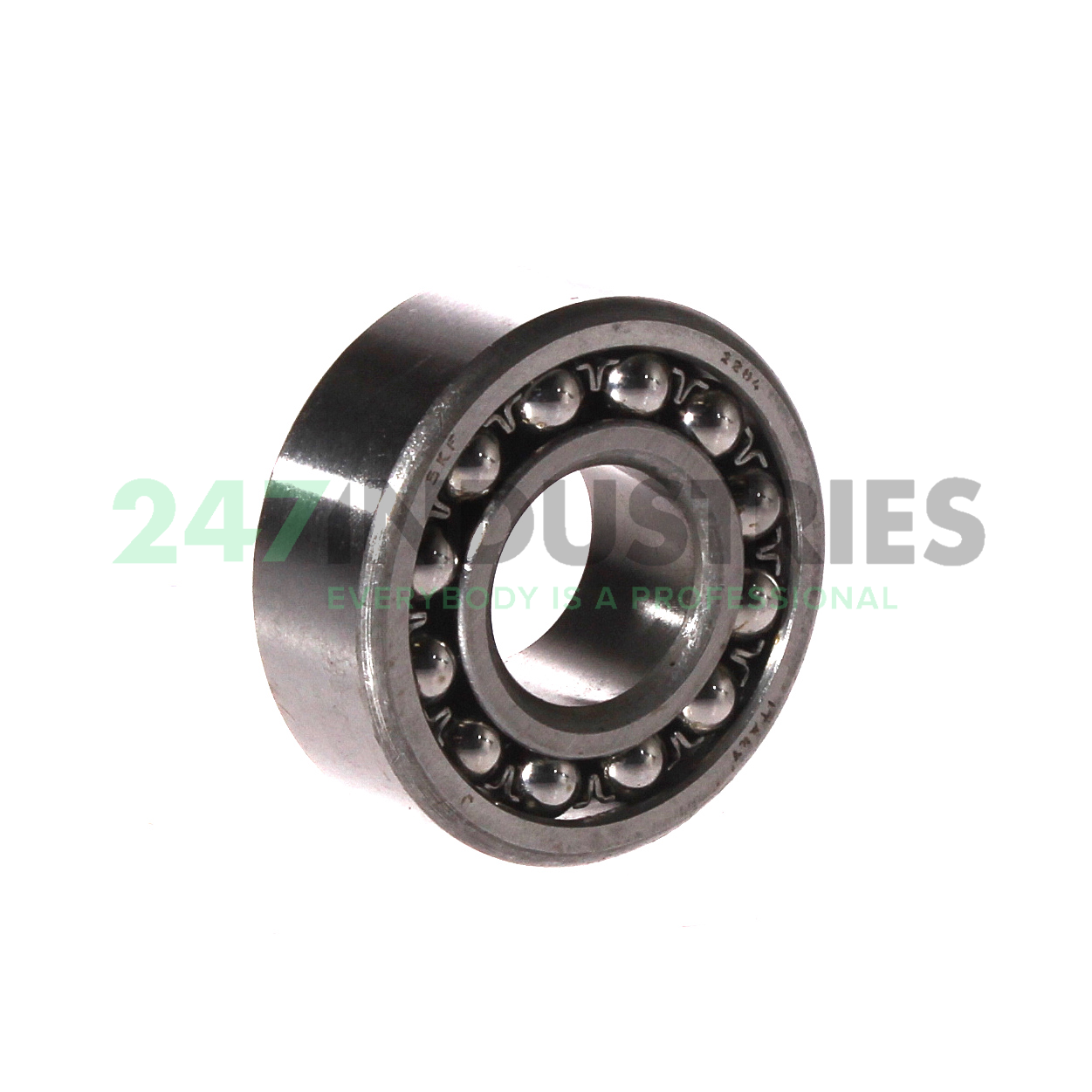 2204 SKF