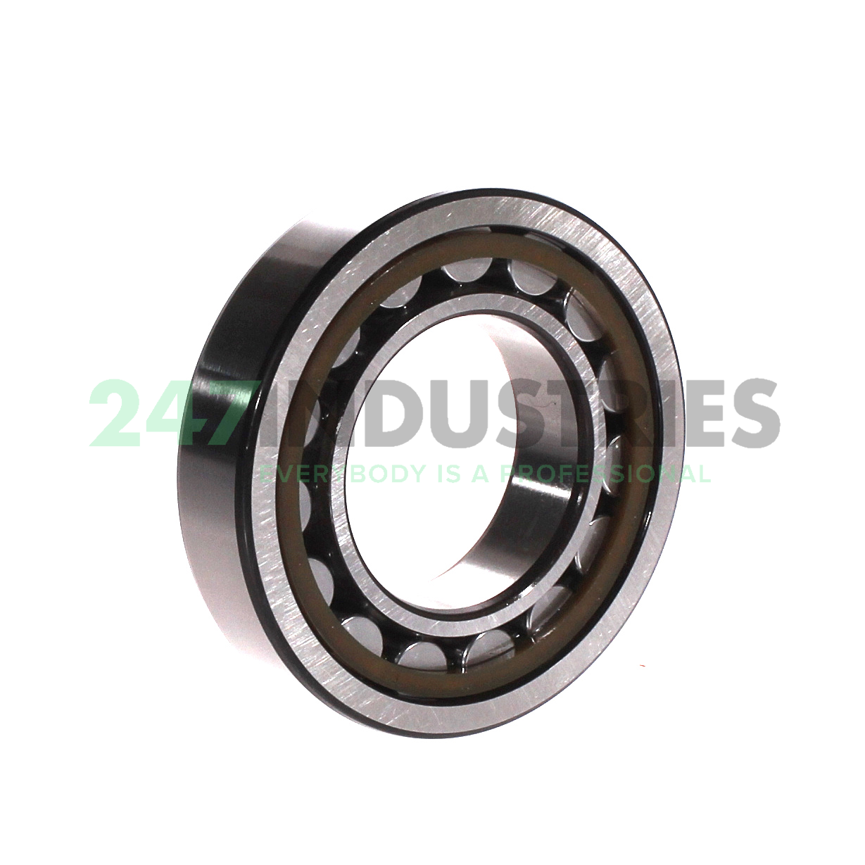 NJ209ECP/C4 SKF Image 2