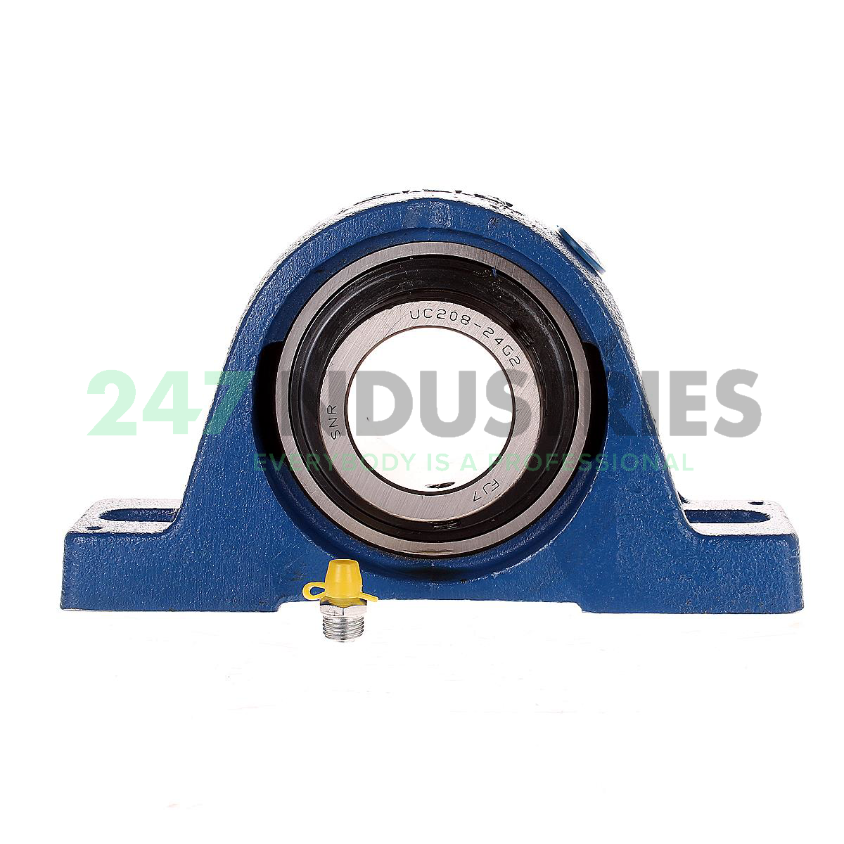 UCPE.208-24 SNR Image 4