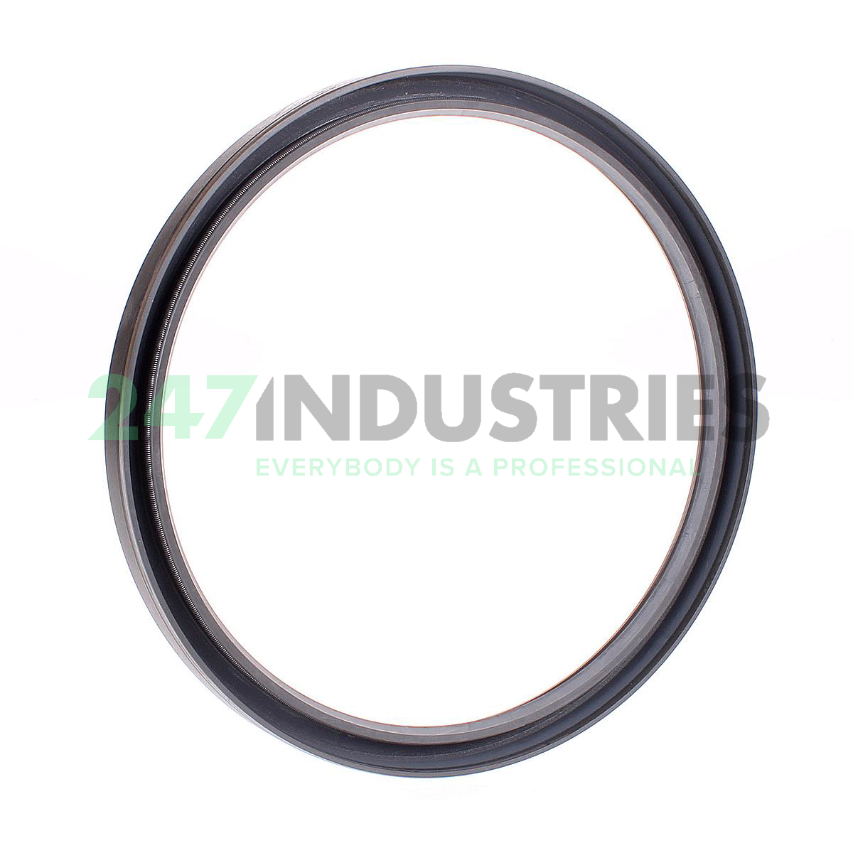 CR165X190X15HMS5RG SKF