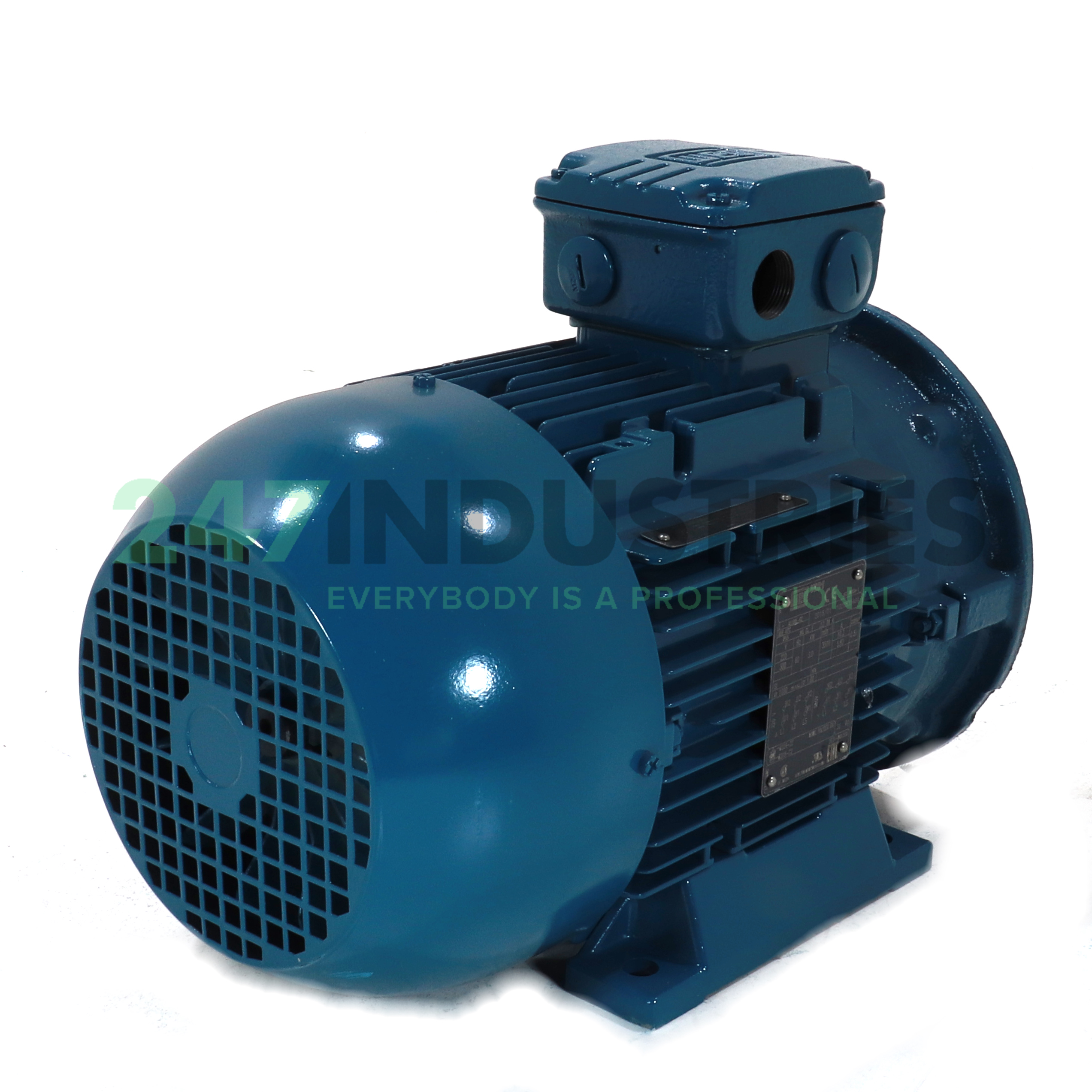 3K31AL2100L2B34 WEG Image 3