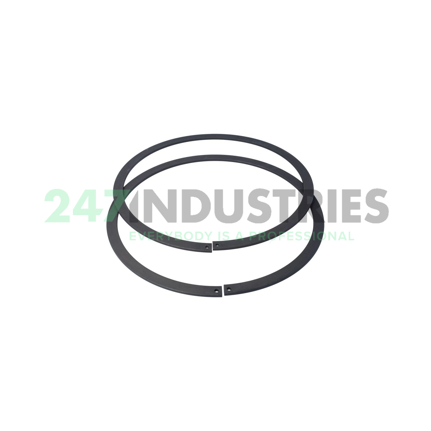 SL04200-D-PP-2NR INA Image 3