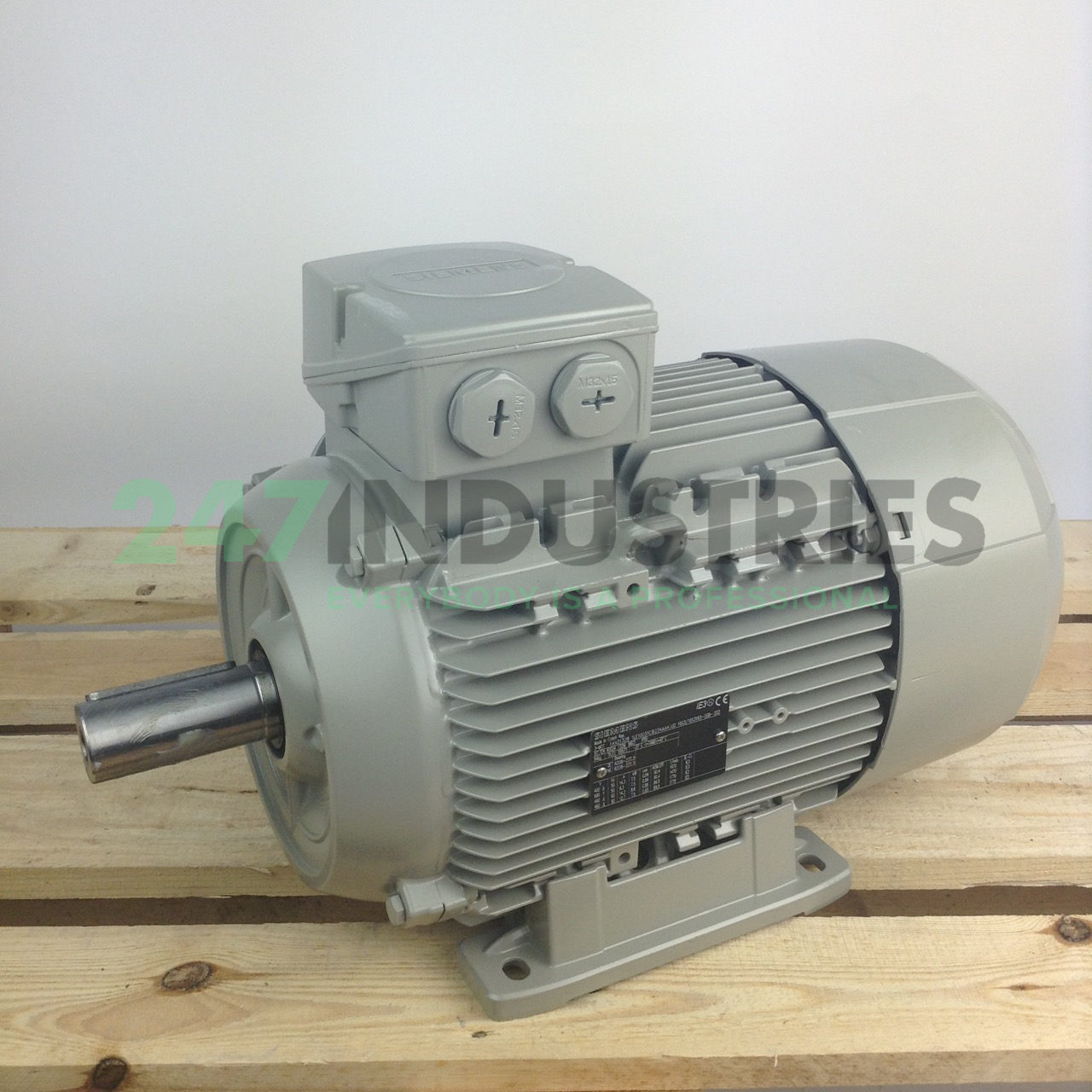 1LE1003-1CB23-4AA4 Siemens