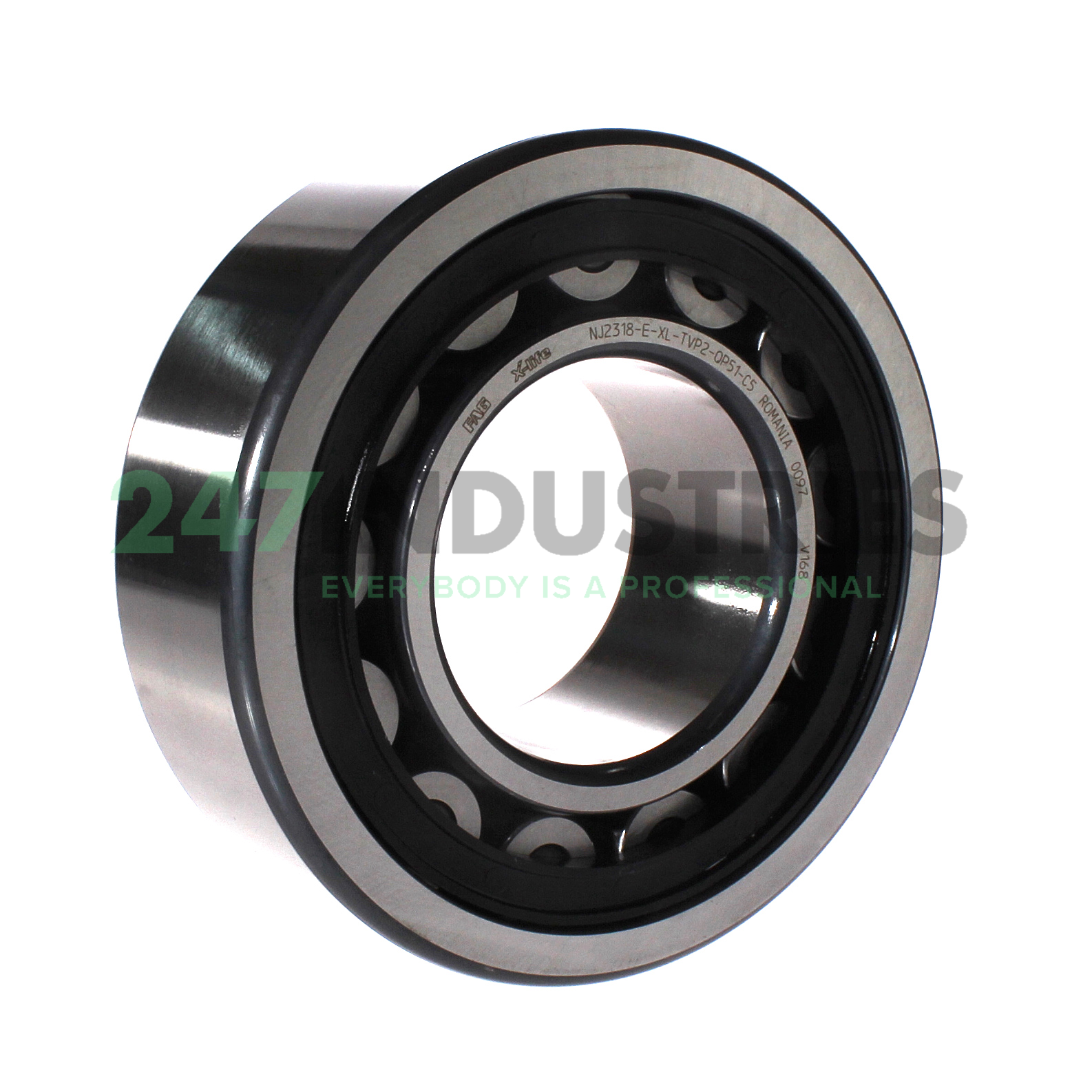 NJ2318-E-XL-TVP2-QP51-C5 FAG Image 3