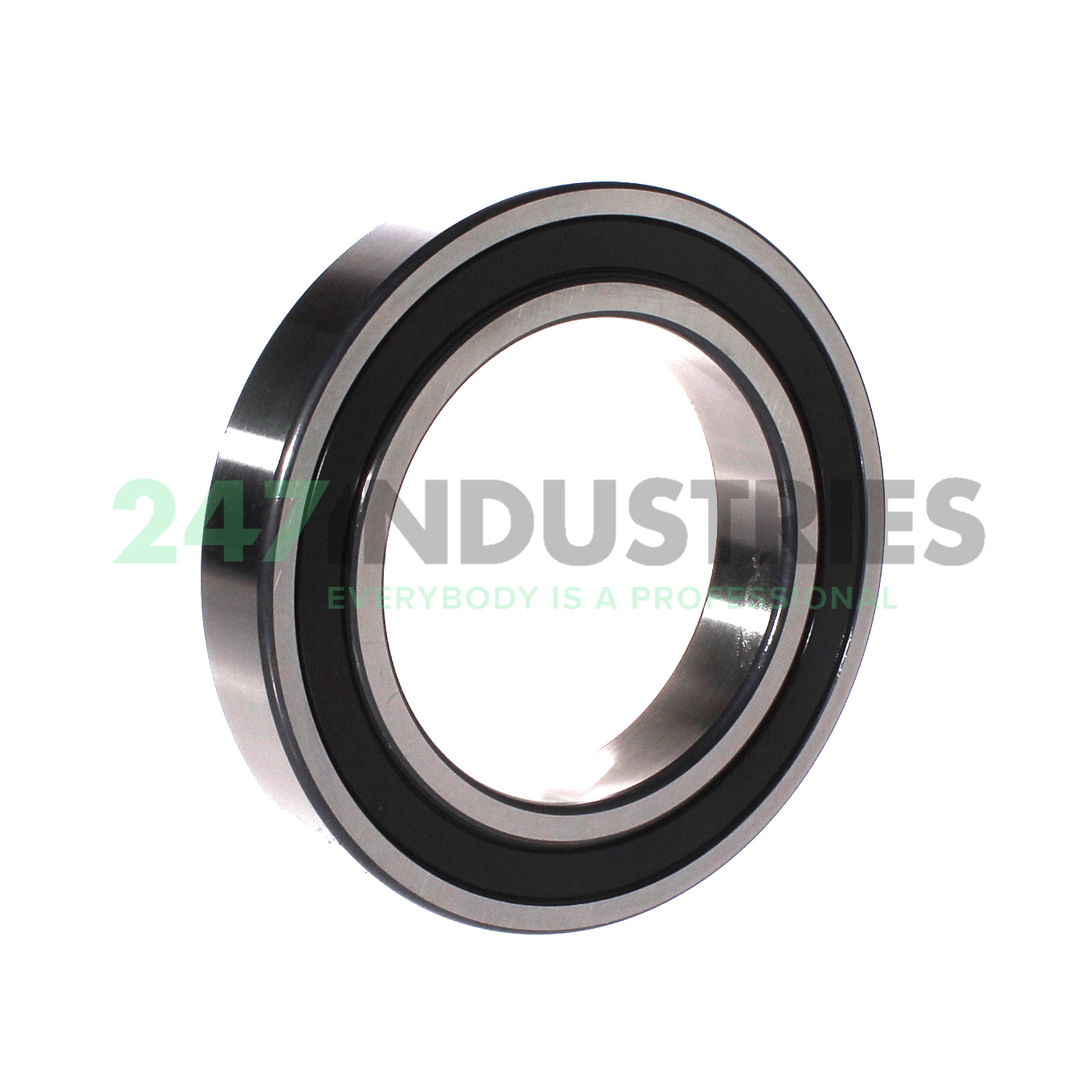 6016-2RSR FAG Image 2