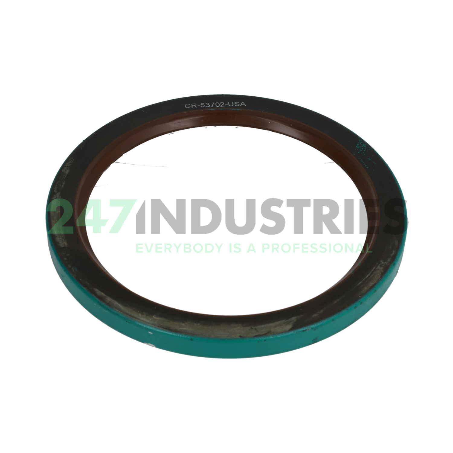 CR53702 SKF Image 1