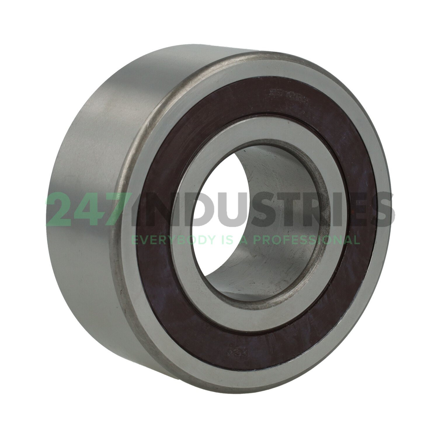 5310 2RS FBJ Image 2