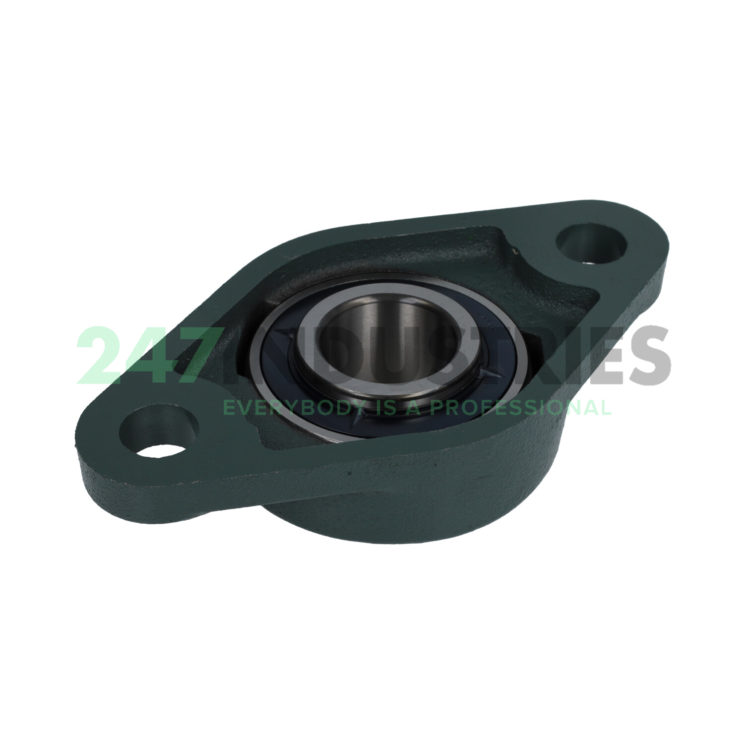 UCFL309D1 AS3S NSK Image 2