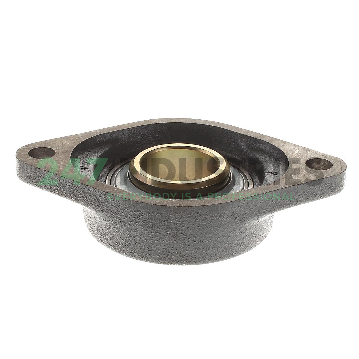 RCJT40FA319.1 INA Image 2