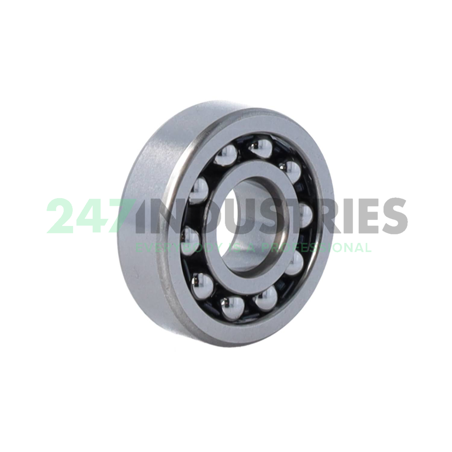 1201 NSK Image 2