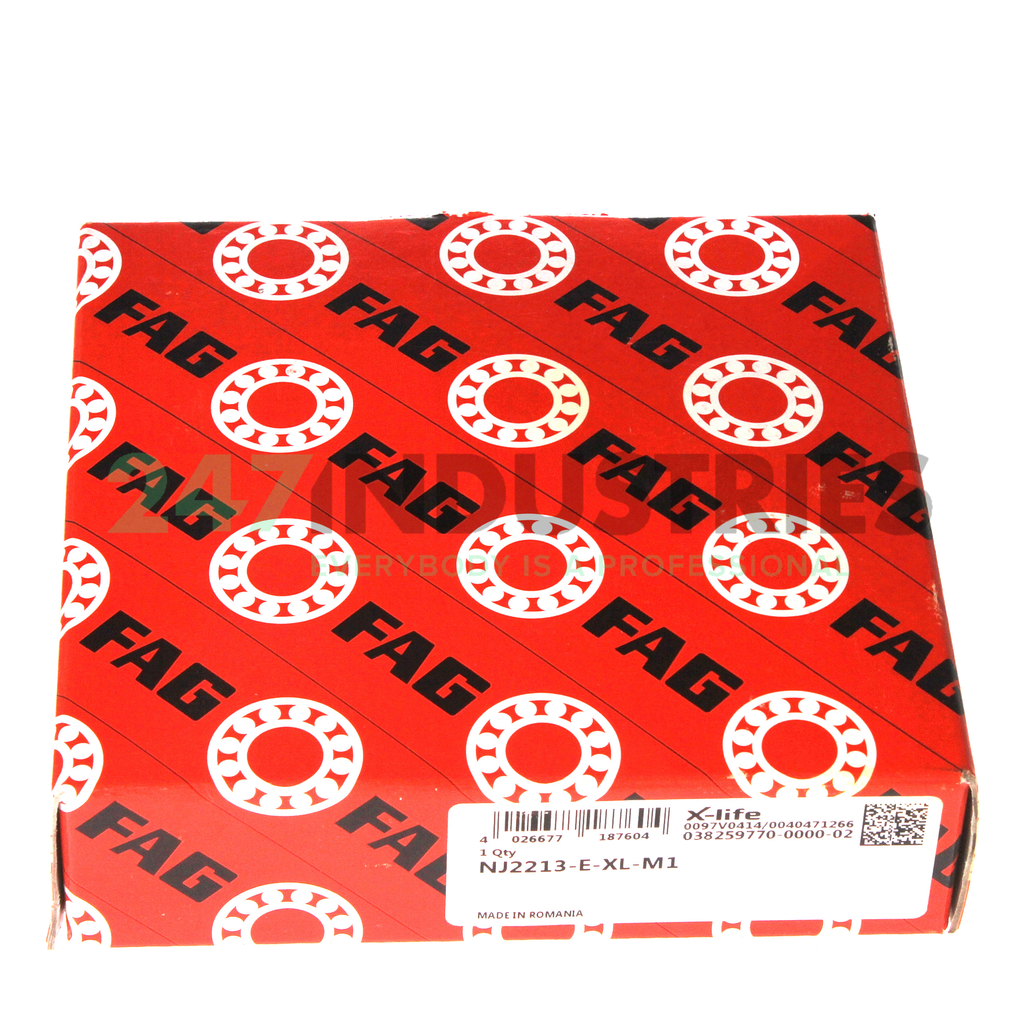 NJ2213-E-XL-M1 FAG Image 3