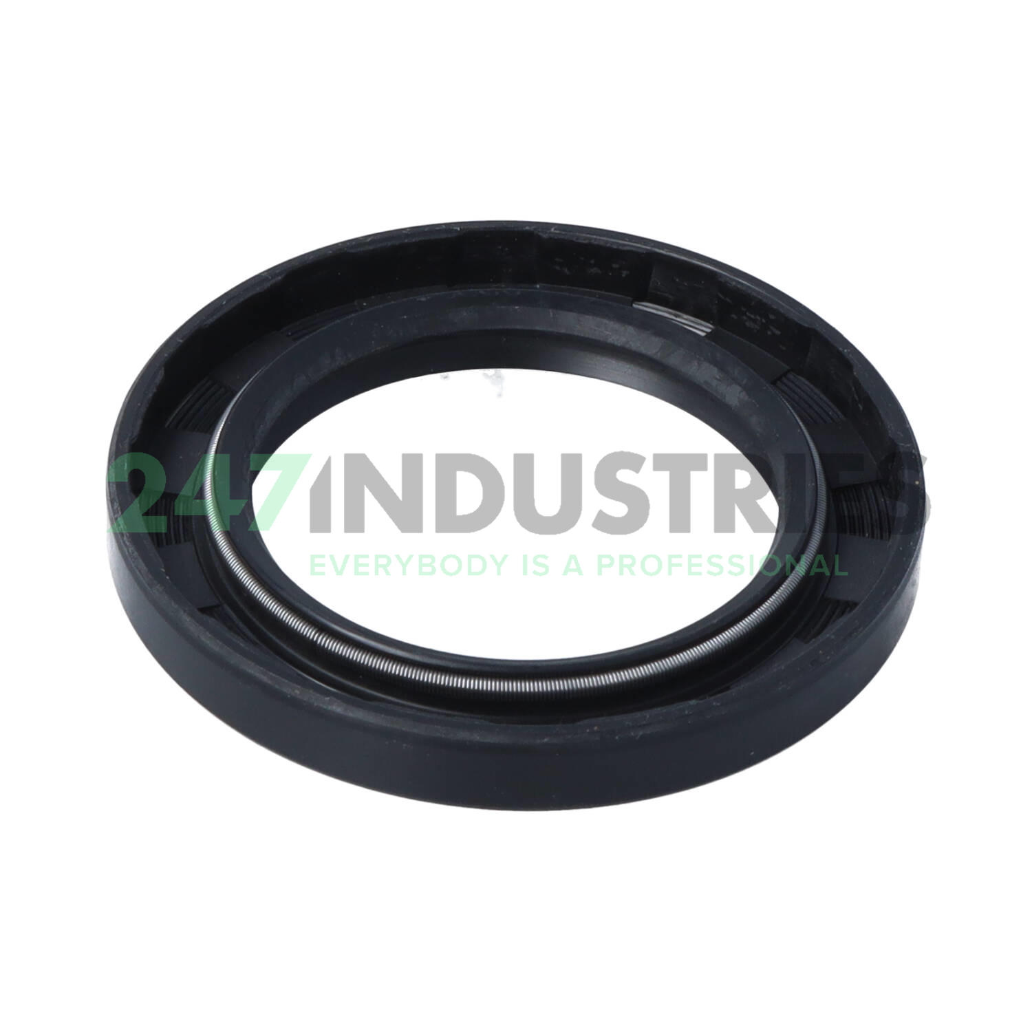 TC44X65X8 CHO Champ Oil Seals Image 2