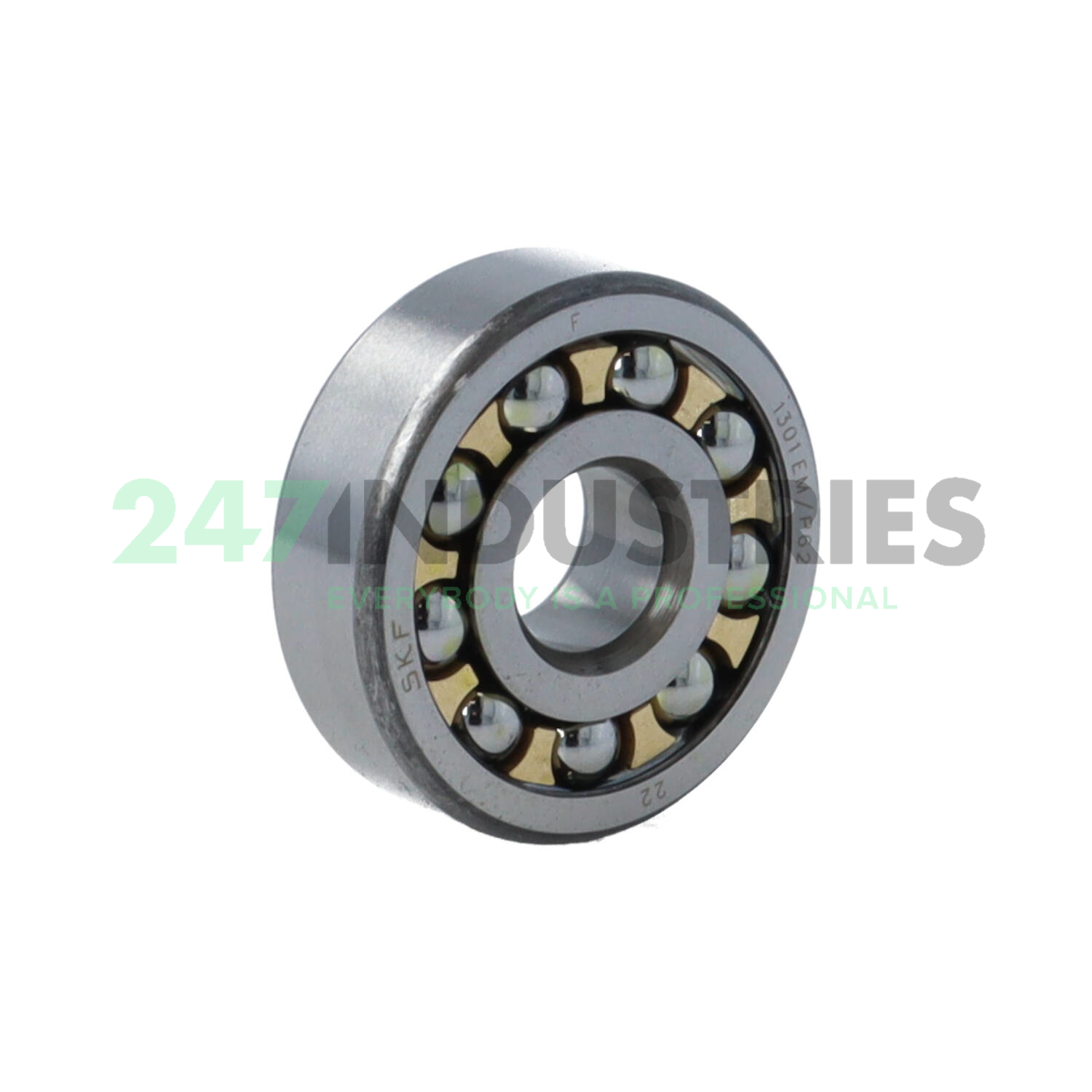 1301EM/P62 SKF